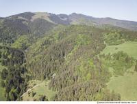 background nature forest High Tatras 0019